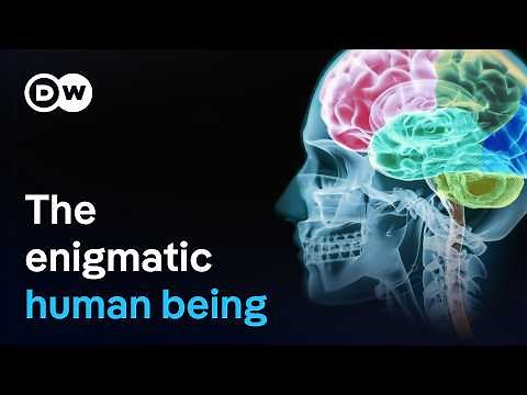 What distinguishes humans from animals? | DW Documentary