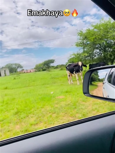 Emakhaya: A Musical Journey Through Emotions