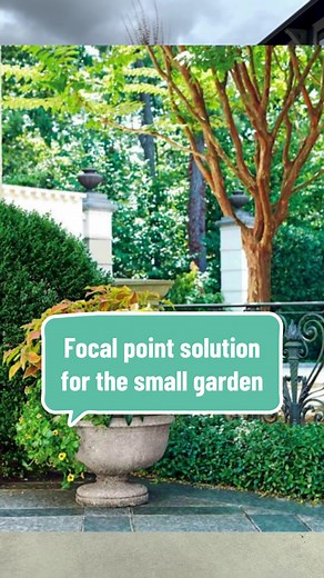 Borrow some scenery for 🆓 If you have a small garden, create a focal point outside of it—like a neighbor’s tree, distant mountains, or the ocean. This simple trick can instantly make your garden appear bigger and more expansive. Follow us for more landscape design tips! Check out our landscaping services on the website (link in bio). 🌿🏞️ #garden #plants #landscapedesign #homegarden #landscape #gardeningtips #gardendesign