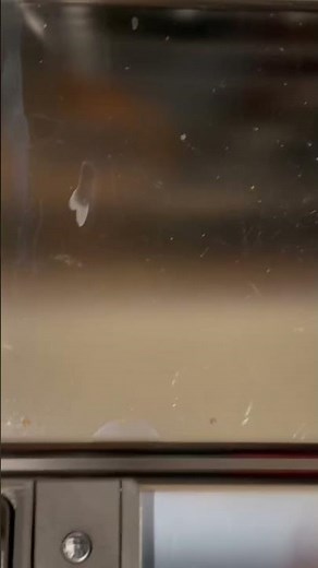 Dishwasher soap not dissolving!!!
