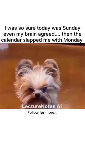 LectureNotes AI on Instagram: "Download LectureNotes AI because nothing hurts more than realizing your relaxing Sunday was actually a full-blown Monday 😭☕ while your brain still refuses to accept reality, LectureNotes AI is already ready to take notes for you #studentstruggles #studentlife #studymemes #mondaymood #lecturenotesai #studysmart #ainotetaking #viralreels #mit"