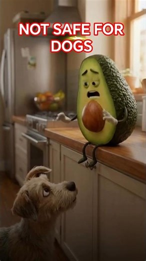 Avocado Isn’t Safe for Dogs 🥑🐶