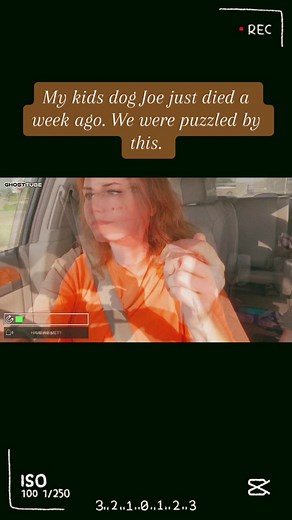 #ghosttube #real #spiritcommunication #interstellar #interdimensional #fyp #look #imeternal #joe #restinpeace #cemetery #petloss #visitation