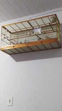 esse é um professor de verdade