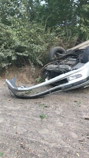 𓆗 (@thetema4k)’s videos with оригинальный звук - zeuser ❥