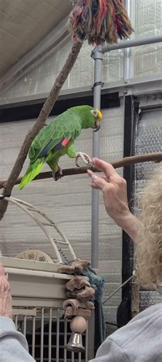 Diego meets Mom...