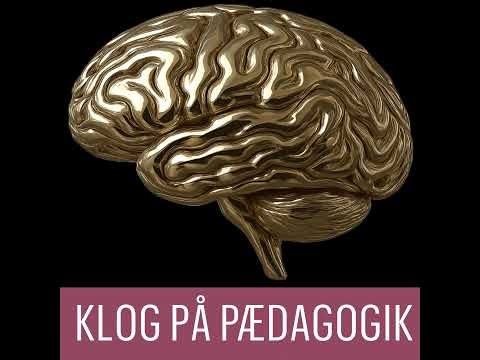 KLOG PÅ PÆDAGOGIK: Kan AI være din kreative kollega?
