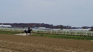 23 reactions | Intrepid Daydream wins as advertised! The Larry Fowler Jr. homebred filly crushed the field in the Politely Stakes at Laurel Park for her fourth win in a row! She's trained by Gary Capuano and ridden by Jevian Toledo. Congratulations to the winning connections! | Maryland Thoroughbred | Facebook