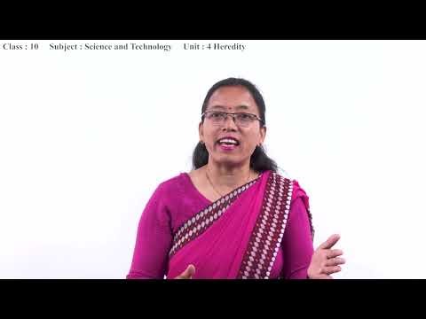 16. Class 10 | Science | Unit 4 Heredity [EN]