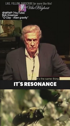 Bumblebee Flight: Science or Secret Levitation?! (PART 2) 🐝🛸🧠