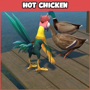 686K views · 4.9K reactions | Those chickens are hungry! | Mully | Facebook