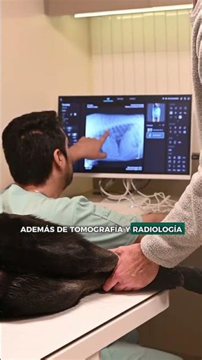 Sumale a tu veterinaria diagnóstico por imágenes junto a RedVet