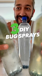 3 DIY Bug sprays you can make at home, cheap and easy - and they’ll save your plants! 😲🌱 . . ps: if you enjoy my plant hacks tips and tricks - check out my official plant books! 🤩 . . #plants #gardening #lifehacks #upcycle #diy #homemade #recipe #bugs #bugspray #howto #natural | creative explained