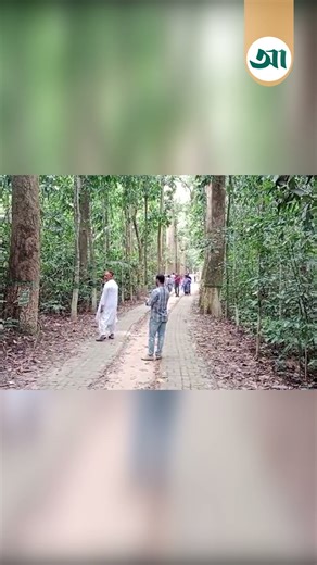 লাউয়াছড়া জাতীয় উদ্যান ,নৈসর্গিক সবুজের সমারোহ | Ajker Patrika