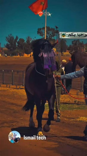 @harag_000 on Instagram: "😍✨️"