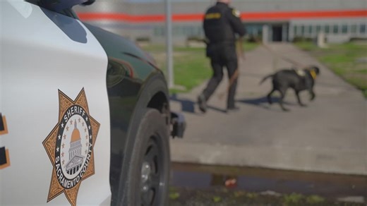 Sacramento County Sheriff's Office looking to expand K9 bomb dog unit