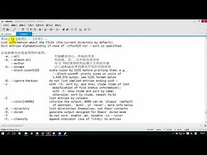 04 命令使用方式和技巧