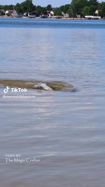 Mermaid Meet-and-Greet at Michigan Beach
