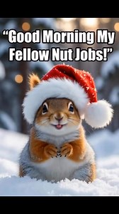 Good Morning | Fish Head Assassin