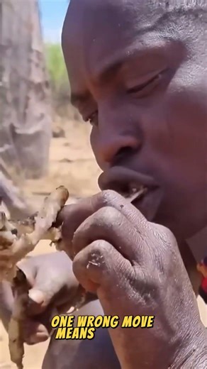 Man vs Giant Python – 30 Seconds from Death