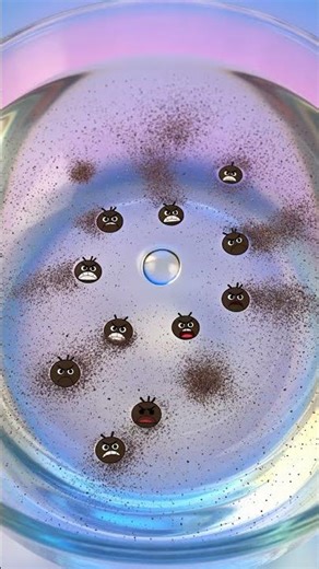 Soap vs Germs – Pepper Experiment