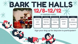 🐾Join us for daycare for Bark the Halls Week at Pampered Paws! Its going to be a week full of joy and fun! Call us to sign up for daycare for your furry family member to participate in the festivities.❄️ | Pampered Paws Pet Resort