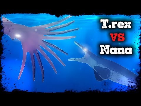 Tylosaurus rex VS Nanaimoteuthis - (Animation)