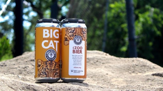 Urban Chestnut, Saint Louis Zoo team up for Big Cat Golden Pilsner