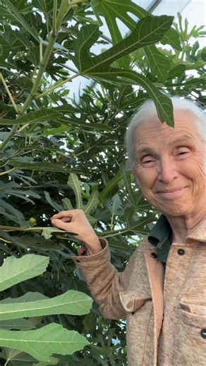 49 reactions | How long can we hold off cold weather? The high...