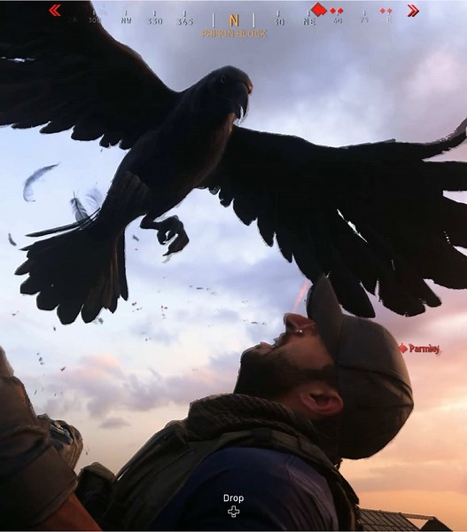 Montage Highlights of Warzone Gameplay