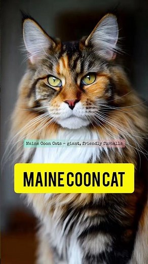 Top Hottest Pets You Need to Own! 🐾💕 😍#HottestPets #PokemonInspired