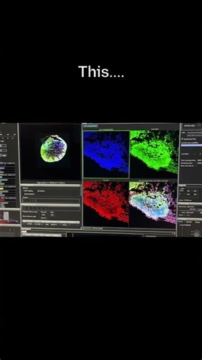 Microscopy 🔬#helpmemakethismakesense #science #biology #organoids #dothingsyoudontwanttodo