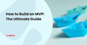 How to Build a Minimum Viable Product: Steps, Costs