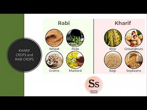 Rabi Crops and Kharif Crops #agriculture #crop #kharifcrops #rabicrops #education #ncert #class8