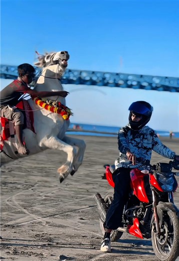 Real Horses in Bangladesh