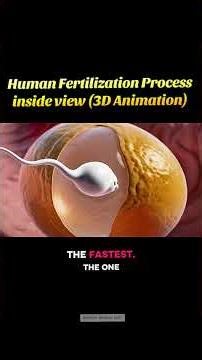 Human Fertilization Process inside view (3D Animation) #pregnant #pregnancy #facts