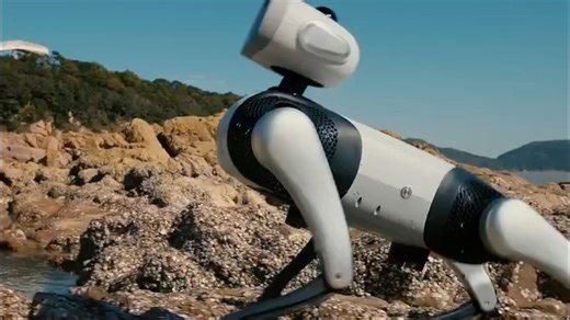 赛博遛狗真成现实了？维他动力发布全球首款智能机器狗，网友：这个价格我真是没想到