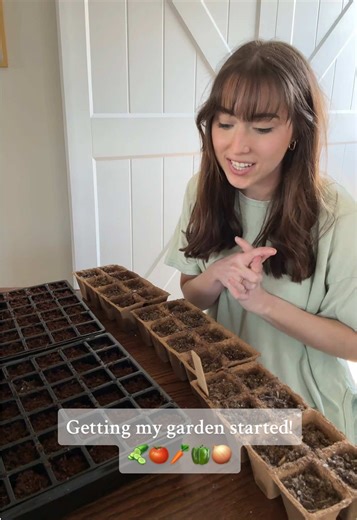 Starting My Vegetable Garden: Seed Planting Tips