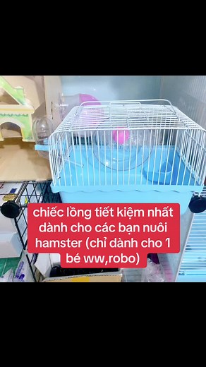 lồng mini hamster #longminihamster #longhamstermini #chuongminichohamster #longnhochohamster #longnuoihamster #longchuothamster #chuonghamster #longnuoichuothamster