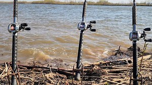 Shore fishing for catfish: 5 pro hacks