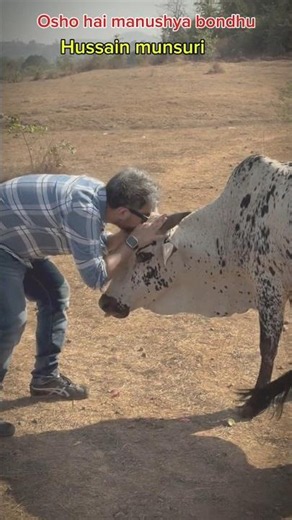 Feeding Hungry Animals! Pure Humanity Moment ❤️🥹 #shorts #R7Realm