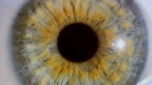 The world you experience is not real - you can't trust your eyes. Our interactive story explains why: http://bbc.in/16ywrgN | BBC Future