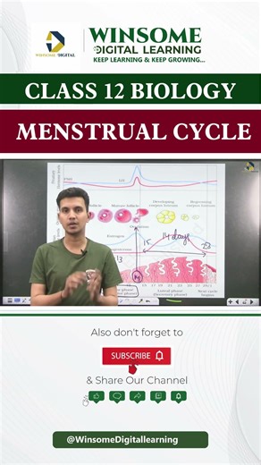 Menstrual Cycle in 60 Seconds | Class 12 Biology Quick Revision