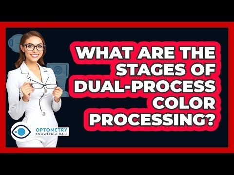 What Are The Stages Of Dual-Process Color Processing?