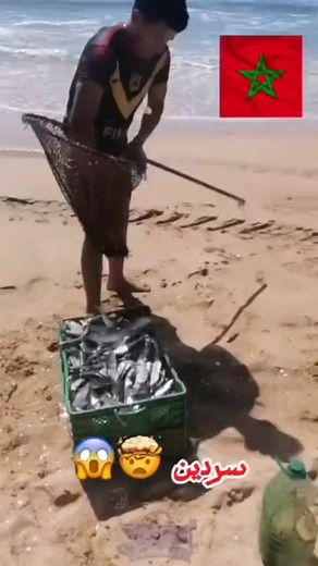 Toufik Haddaoui on Reels