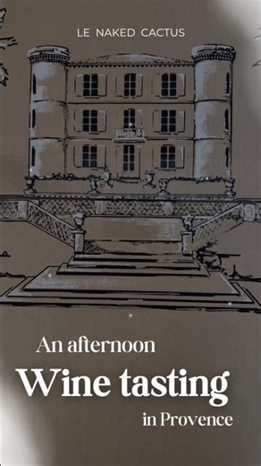 Wine Tasting Rosé in #provence 🍷 | Château de Brégançon Vineyard 🇫🇷 #shorts