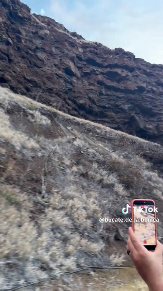 Bucate de la bunica🍞🍳 (@bucate.de.la.bunica)’s videos with suono originale - ⚜️OPRIȚI PLANETA⚜️