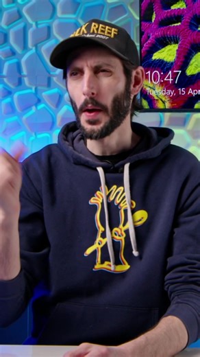 What is GHA? Green hair algae has quite the descriptive common name, a green filamentous algae that looks like tufts of hair swaying in the current. | Bulkreefsupply.com - Saltwater Aquarium Supplies