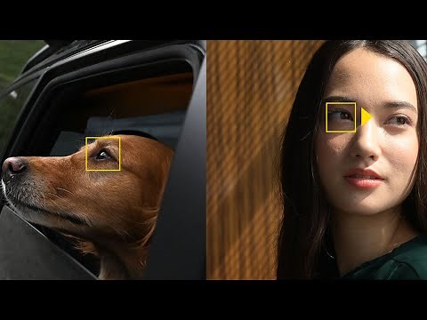 Primer vistazo a la Nikon Z5