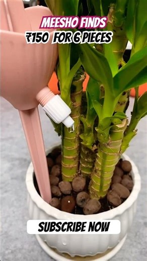 Automatic Plant Watering Spikes 🌱💧 | Self Watering System for Plants (6pcs)